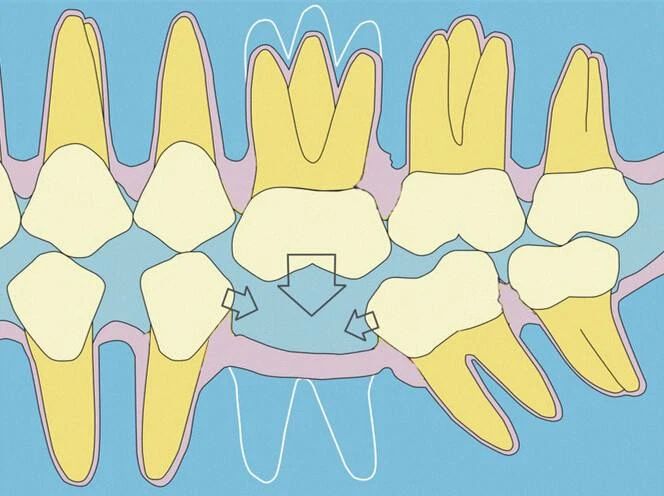 微信图片_20200914094255 微信图片_20200914094255